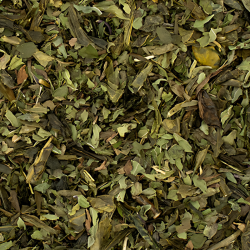 Apperçu du contenu du sachet du thé vert Perle d'Orient Jeanne-Antoinette