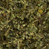 Apperçu du contenu du sachet du thé vert Perle d'Orient Jeanne-Antoinette
