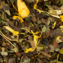 Apperçu du contenu du sachet de thé blanc romance à l'opéra Jeanne-Antoinette
