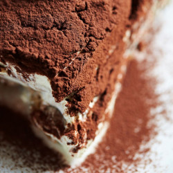 Sirop 1883 Tiramisu – Saveur dessert italien iconique | Cafés Gonéo