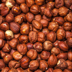 Sirop 1883 Noisette – Saveur pralinée irrésistible | Cafés Gonéo