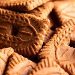 Sirop 1883 Spéculoos – Saveur biscuit intense | Cafés Gonéo