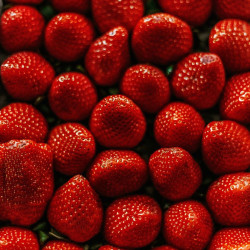 Topping 1883 Fraise – Coulis fruité | Cafés Gonéo