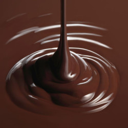 Topping 1883 Chocolat – Sauce onctueuse et intense | Cafés Gonéo