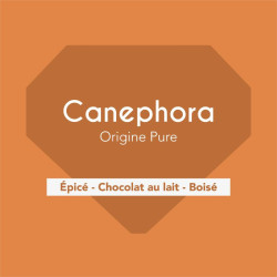 Canephora | Capsules compatibles Nespresso® | Cafés Gonéo