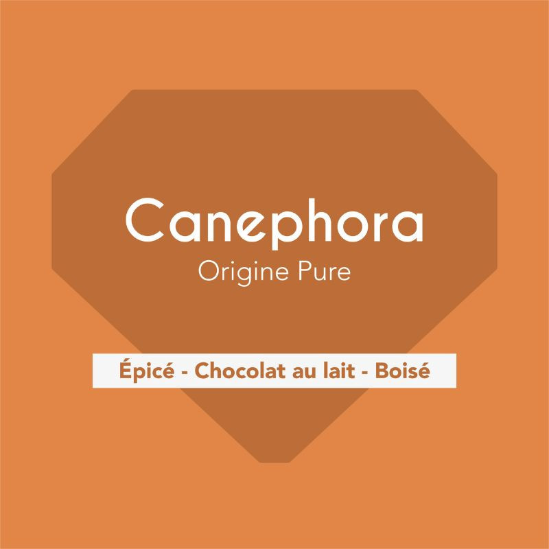 Canephora | Capsules compatibles Nespresso® | Cafés Gonéo