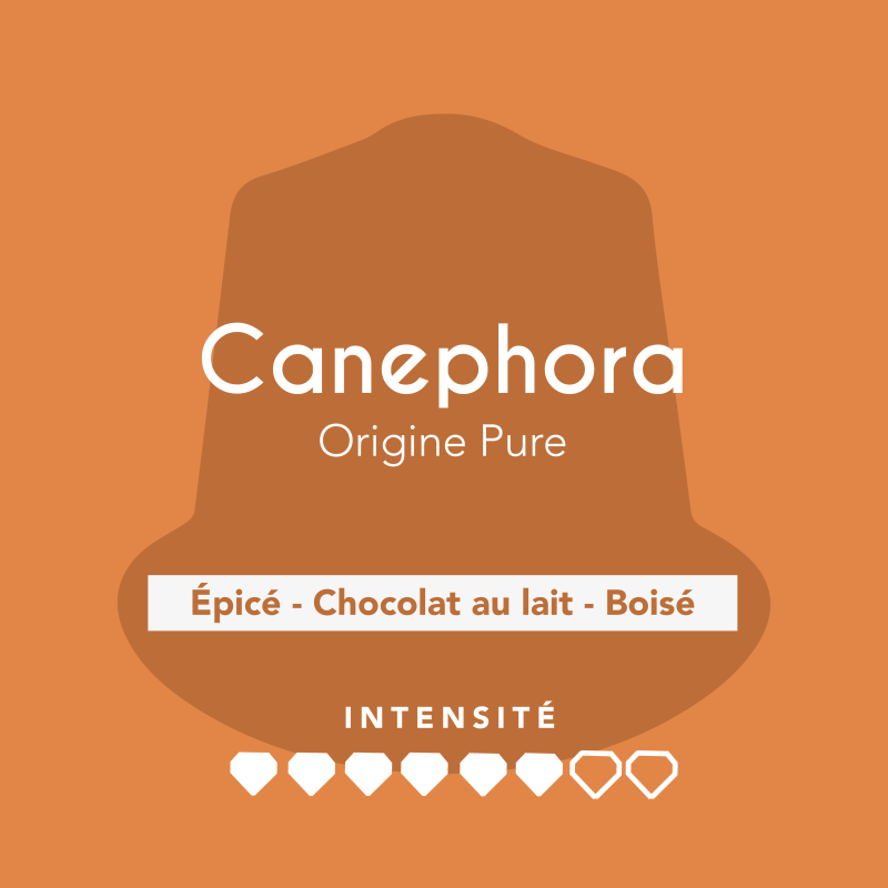 Canephora | Capsules compatibles Nespresso® | Cafés Gonéo